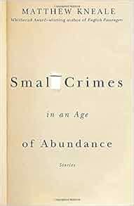 Small Crimes in an Age of Abundance Kindle Editon