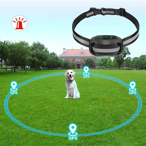 Small Dog Wireless Fence: A Comprehensive Guide to Safe and Effective Containment