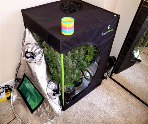 Small Weed Grow Tent