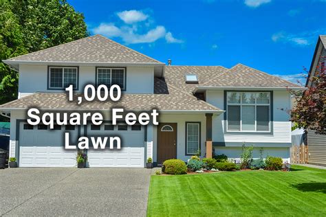 Small lawns (up to 5,000 square feet):