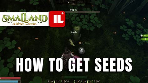 Smallands: How to Get Seeds