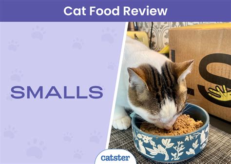 Smalls Cat Food vs Other Cat Food Options for Cats with Allergies