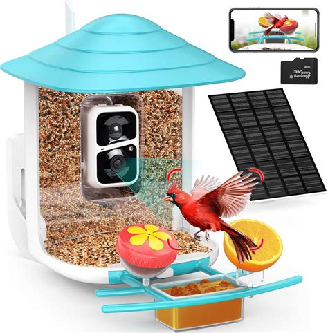 Smart Feeder Review and Rating: 2025's Top 5 Picks