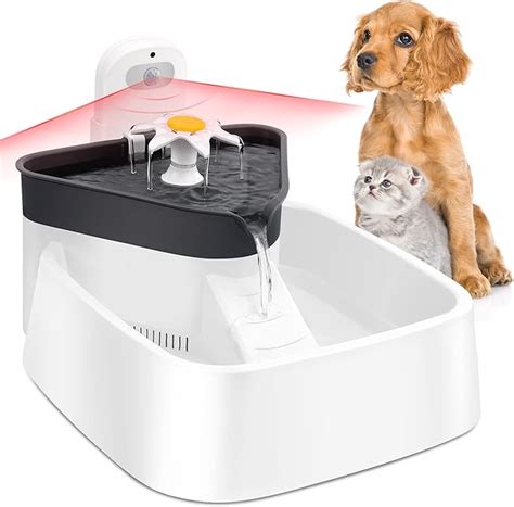 Smart Pet Water Fountain 2025: Elevate Pet Energy Levels