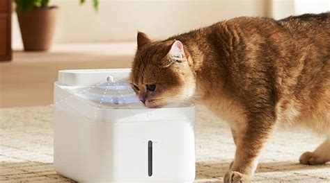 Smart Pet Water Fountain for pet hydration