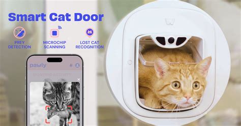 Smart cat door compatibility and integration