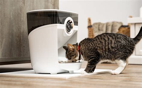 Smart feeding technology for busy pet owners