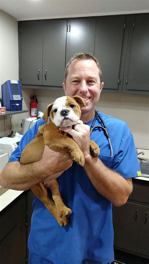 Smith Animal Hospital: Exceptional Veterinary Care in Fort Valley, Georgia
