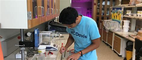 Smithsonian Environmental Research Center Internship: Uncover the Wonders of Coastal Ecosystems