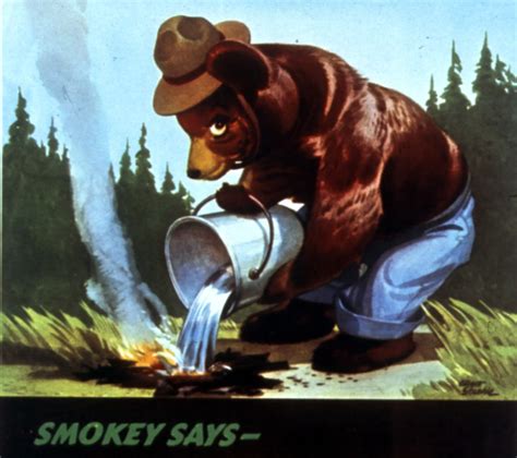 Smokey Bear T-Shirts: A Symbol of Conservation and Environmental Awareness