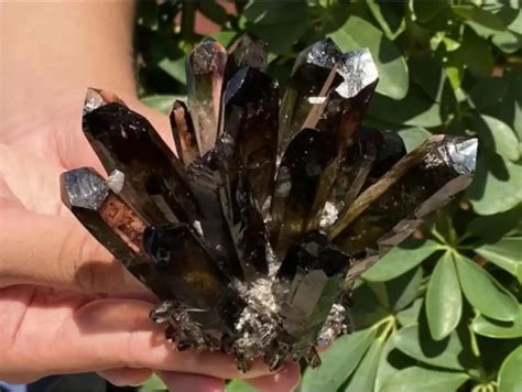 Smoky Quartz Cluster: Unveil the Mystical Power for Healing, Grounding, and Protection