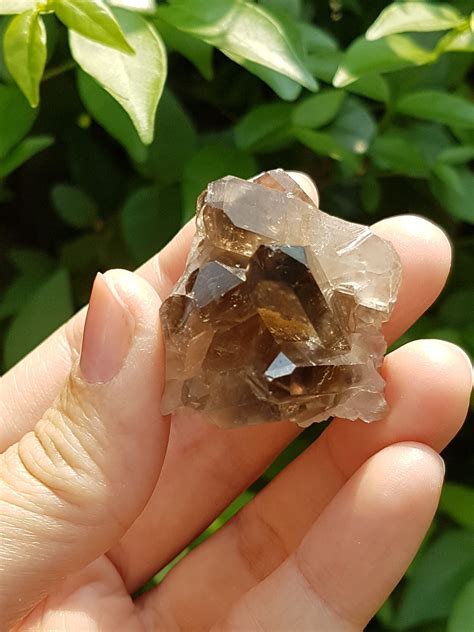 Smoky Quartz Clusters: Uncover the Enchanting Beauty of Nature