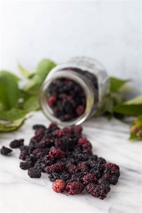 Snack on Sunshine: Unlock the Delicious Potential of Dried Blackberries