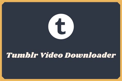 Snag Those Tumblr Videos: Top-Rated Downloaders for 2024