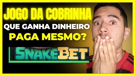 Snake Bet Paga Mesmo: Descubra a Verdade Agora!