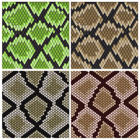Snake Skin Patterns