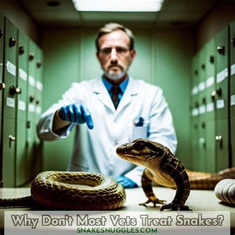 Snake Vets Near Me: Why They Matter