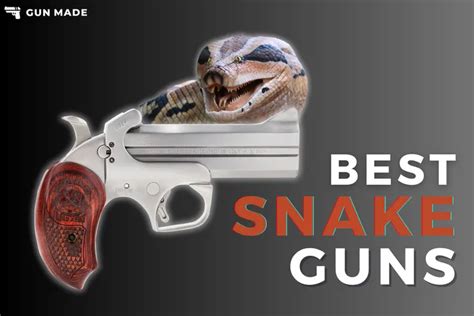 Snake and Gun: A Dangerous Combination