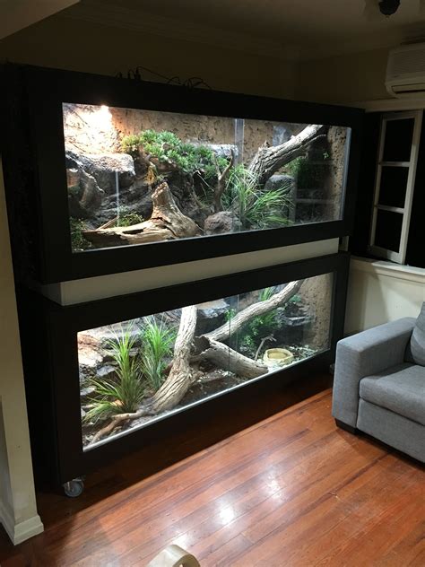 Snake reptile cages