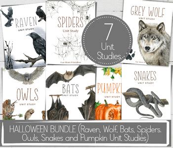 Snakes and Spiders for Kids Bundle Doc