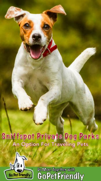 Sniffspot VS Private Pet-Friendly Hiking Trails: 2025 Guide