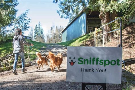 Sniffspot for Large Dog Owners: Unleashing the Power of 2025