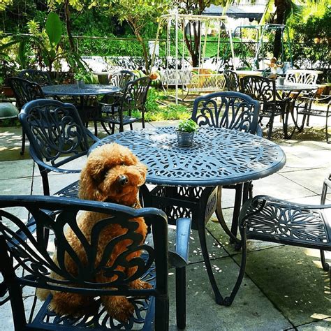 Sniffspot pet-friendly restaurants