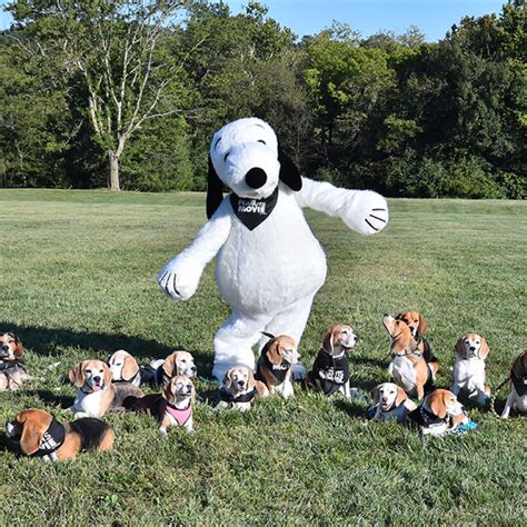 Snooptacular Halloween: Transform into Your Favorite Beagle with an Iconic Snoopy Costume