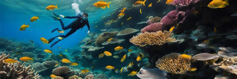 Snorkel in Orlando: Your Ultimate Guide to Underwater Adventures