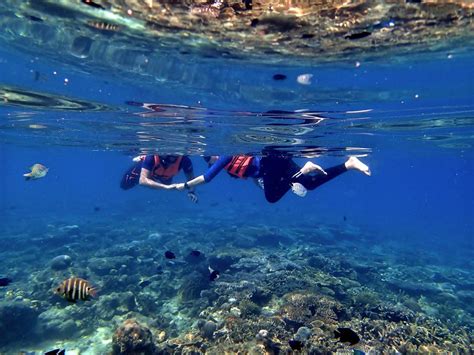 Snorkeling Marvels: