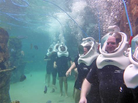 Snorkeling Sites in Orlando: A Dive into Discovery