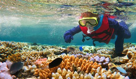 Snorkeling Trips Near Me: Unforgettable Underwater Adventures