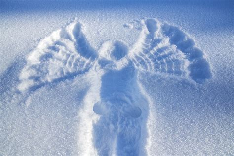 Snow Angel PDF