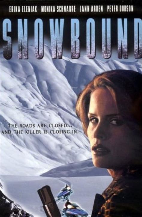 Snowbound Kindle Editon