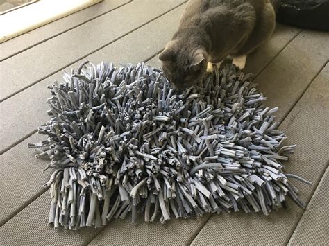 Snuffle Mats for Cats: The Ultimate Guide to Enriching Your Feline's Life