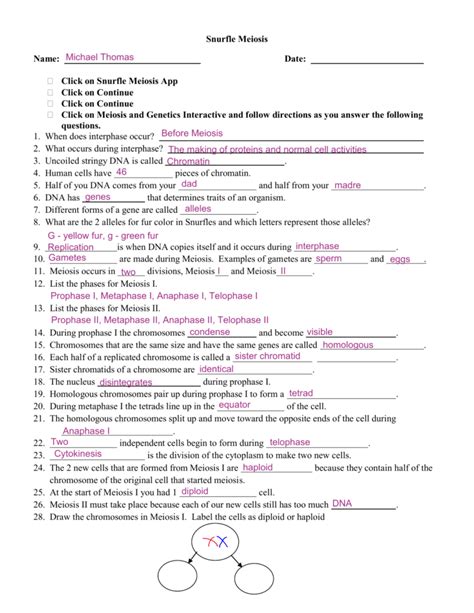 Snurfle Meiosis Worksheet Answers Epub