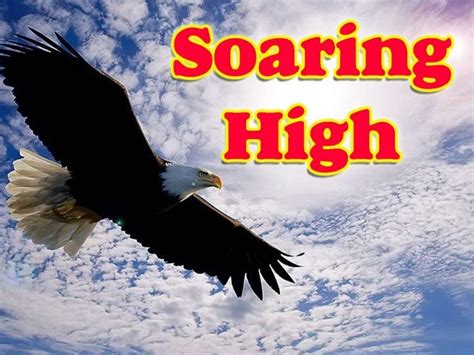 Soaring High: Lessons from the Emu Hojo