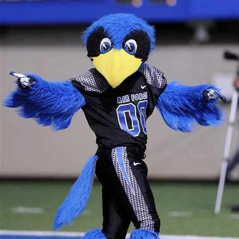 Soaring High: The Significance of the Air Force University Mascots