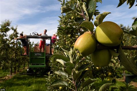 Soaring Temperatures in the Big Apple