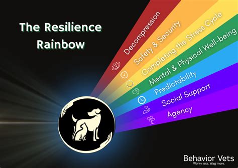 Soaring Through Challenges: Lessons of Courage and Resilience from Rainbow Dash