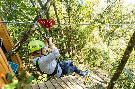 Soaring Through Nature's Embrace: The Unforgettable Apl Zipline Experience