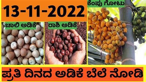 Soaring or Stable? Get the Inside Scoop on Today's Arecanut Price in Shimoga!