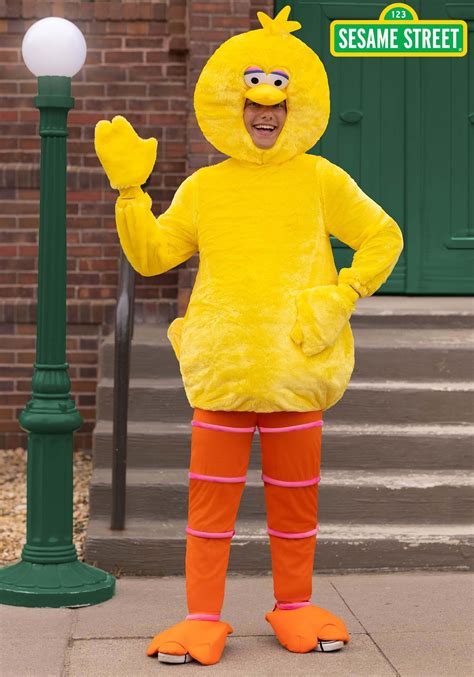 Soaring to New Heights with the Iconic Big Bird Costume: A Flight of Imagination and Inspiration