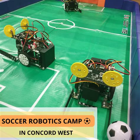 Soccer Robotics 1st Edition Reader