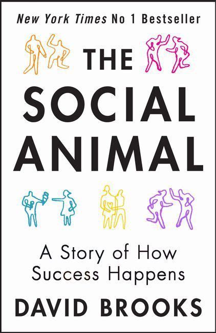 Social Animal A Story of How Success Happens Epub