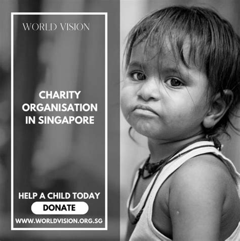 Social Causes in Singapore: A Comprehensive Guide to Making a Difference