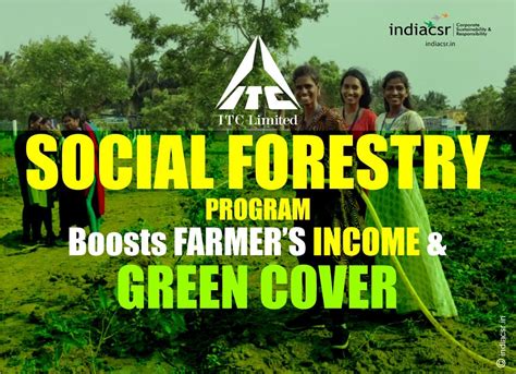 Social Factors in Social Forestry Reader