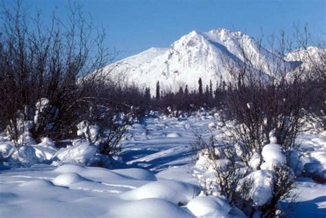 Society of the Snow: Unseen Images of the Arctic Wilderness