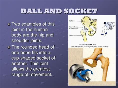 Socket and Ball: A Perfect Pair for Precision Movement