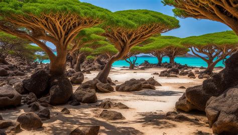 Socotra Island: A Haven of Biodiversity